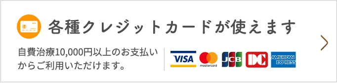 各種クレジットカードが使えます 自費治療10,000円以上のお支払いからご利用いただけます。